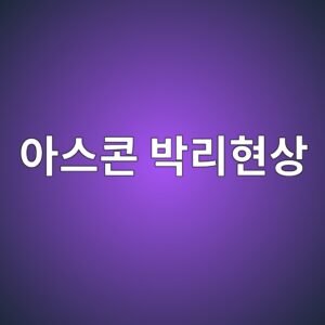 ec9584ec8aa4ecbd98 ebb095eba6aced9884ec8381 1788320660